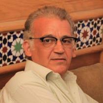 Mohammad Aly