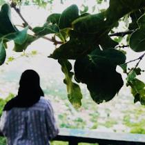 بيان القاسم