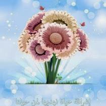 shaimaa ahmed