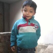 Omr Abd Elrahman
