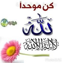 عبدالله وائل