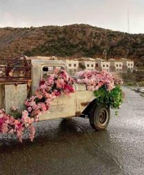 مبتهج