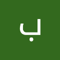بسام محمد