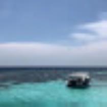 reef albadi