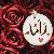 لا يوجد صوره