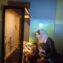 Maha Daoud