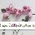 لا يوجد صوره