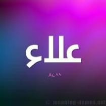 Alaa Sayed