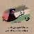 لا يوجد صوره