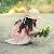 لا يوجد صوره