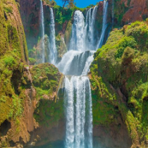 وديع بويكروان