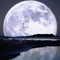 اية عبدا لظاهر