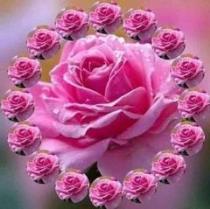 Hesham Roshdy