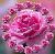 Hesham Roshdy