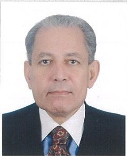 مجدي حماد