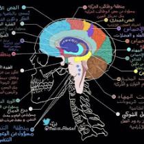 الأفرس يونس