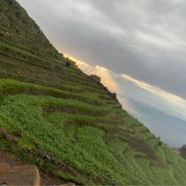 نور الحياة نور الحياة