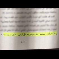 نور الحجاوي