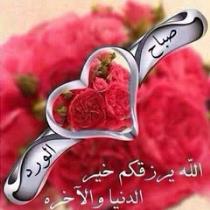 احمد مبارك أحمد بوبكر
