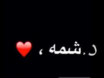 Dr_shamma