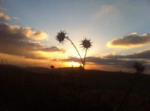 عبير عبد الواحد
