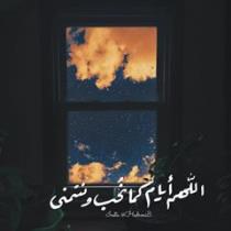 Tamer Helmy