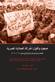صعود وأفول الحركة العمالية المصرية : العمال والسياسة والدولة في مصر (2006-2016)