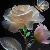 لا يوجد صوره