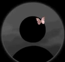 قارئة روايات محبوبة 🎀🎀