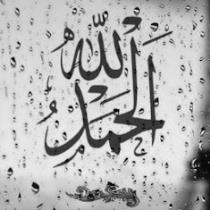 Ehab Gharib