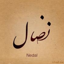 Neddal