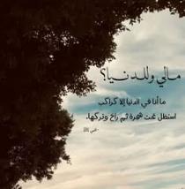 آية أحمد السيد