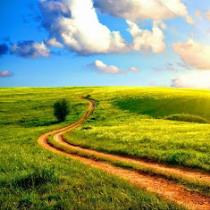 سیدغیاث موسوی