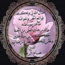 Mohamed Kamal