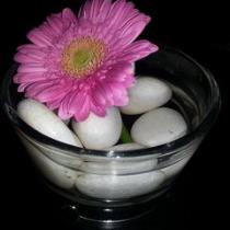 Kadhiya Alriyami