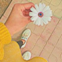 Hanan Omar