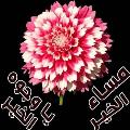 بند