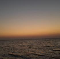 ahmed zaafan