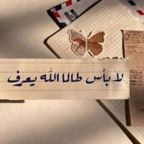 علی العربي