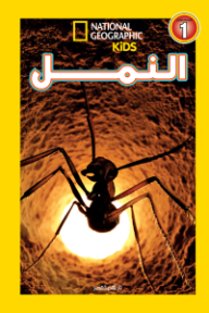 النمل