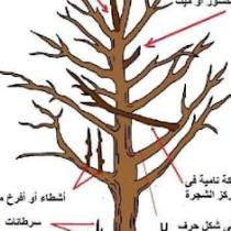 اسرار ومنوعات عامه وزراعيه