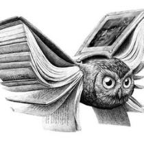 Basma M. Hossameldeen
