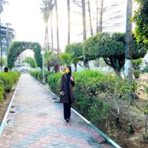 Maram M. Abed