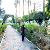 Maram M. Abed