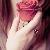 لا يوجد صوره