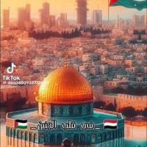 محمود مدحت