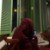 لا يوجد صوره