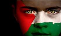 Ibrahim Elshareif