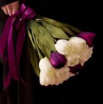 Mai El Said