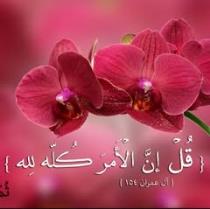 Hanan Al-hasanen